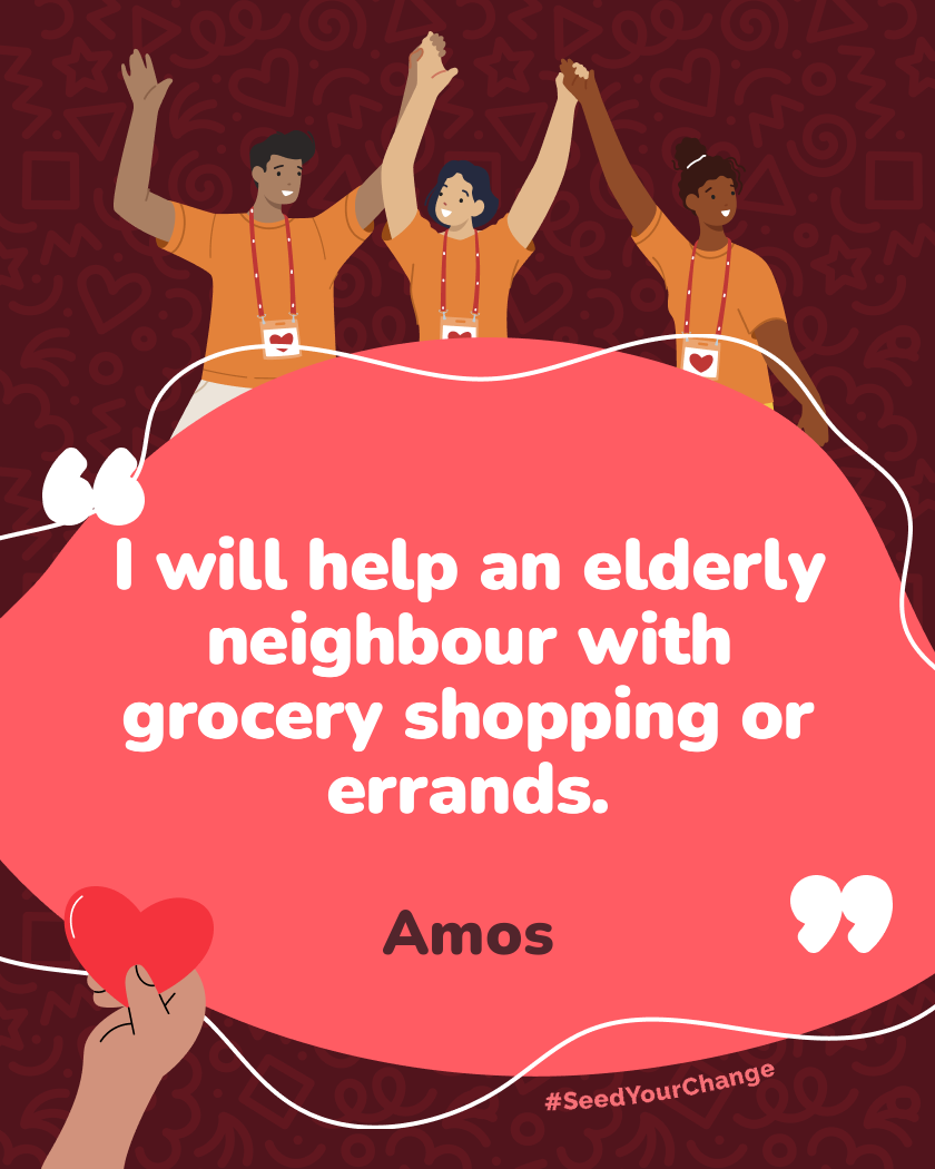 I will help an elderly neighbour with grocery shopping or errands.